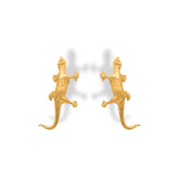 Aretes lagartija vista frontal